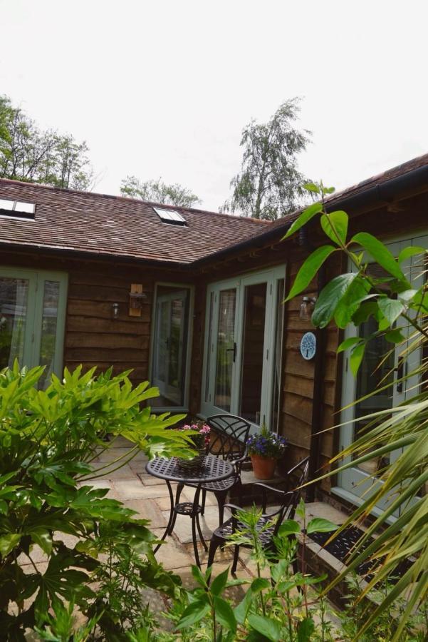 Nest Hideaway Dove Cottage-beautiful Location In The Long Mynd Area Of Outstanding Natural Beauty-whirlpool Jacuzzi Baths!! Holiday home