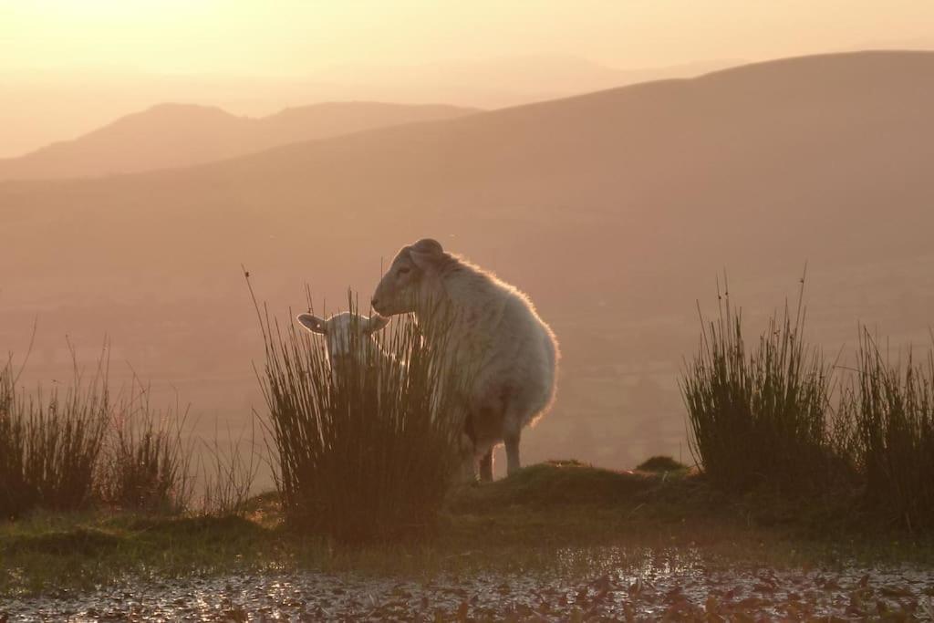 Nest Hideaway Dove Cottage-beautiful Location In The Long Mynd Area Of Outstanding Natural Beauty-whirlpool Jacuzzi Baths!!